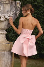 Amber Mini Dress - Blush