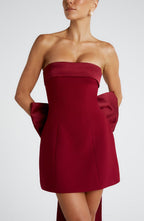 Amber Mini Dress - Wine