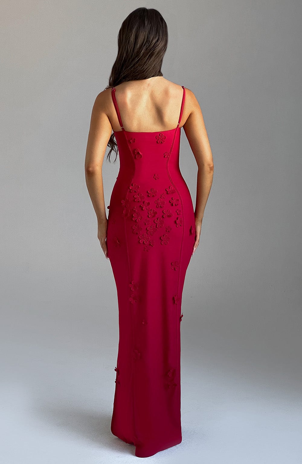 Sandra Maxi Dress - Red Lined