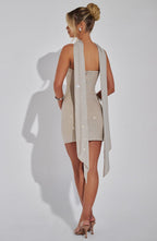 Rosie Mini Dress - Silver/Nude