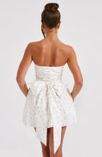 Chloe Mini Dress - Blush Floral Print